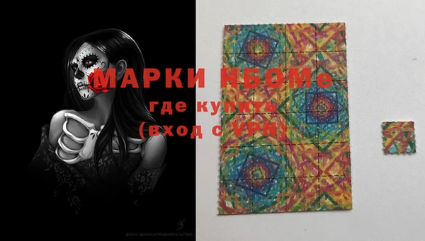 индика Алзамай