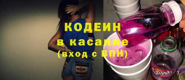 индика Алзамай