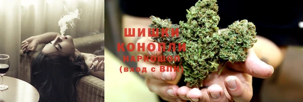 индика Алзамай