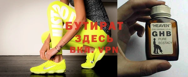 индика Алзамай