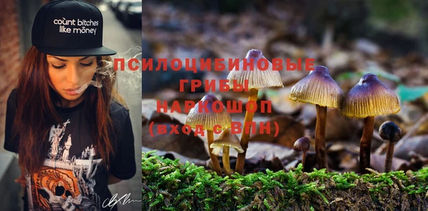 индика Алзамай