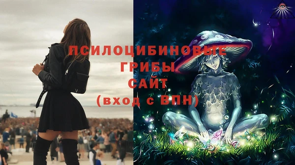индика Алзамай