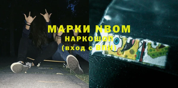 индика Алзамай