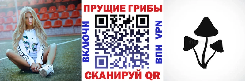 Псилоцибиновые грибы ЛСД  продажа наркотиков  Елизово 